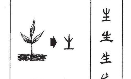 龟胶的功效与作用吃法和禁忌-龟胶的功效与作用吃法网 - 网站提供龟胶功效作用与主治小常识、龟胶的作用和功效